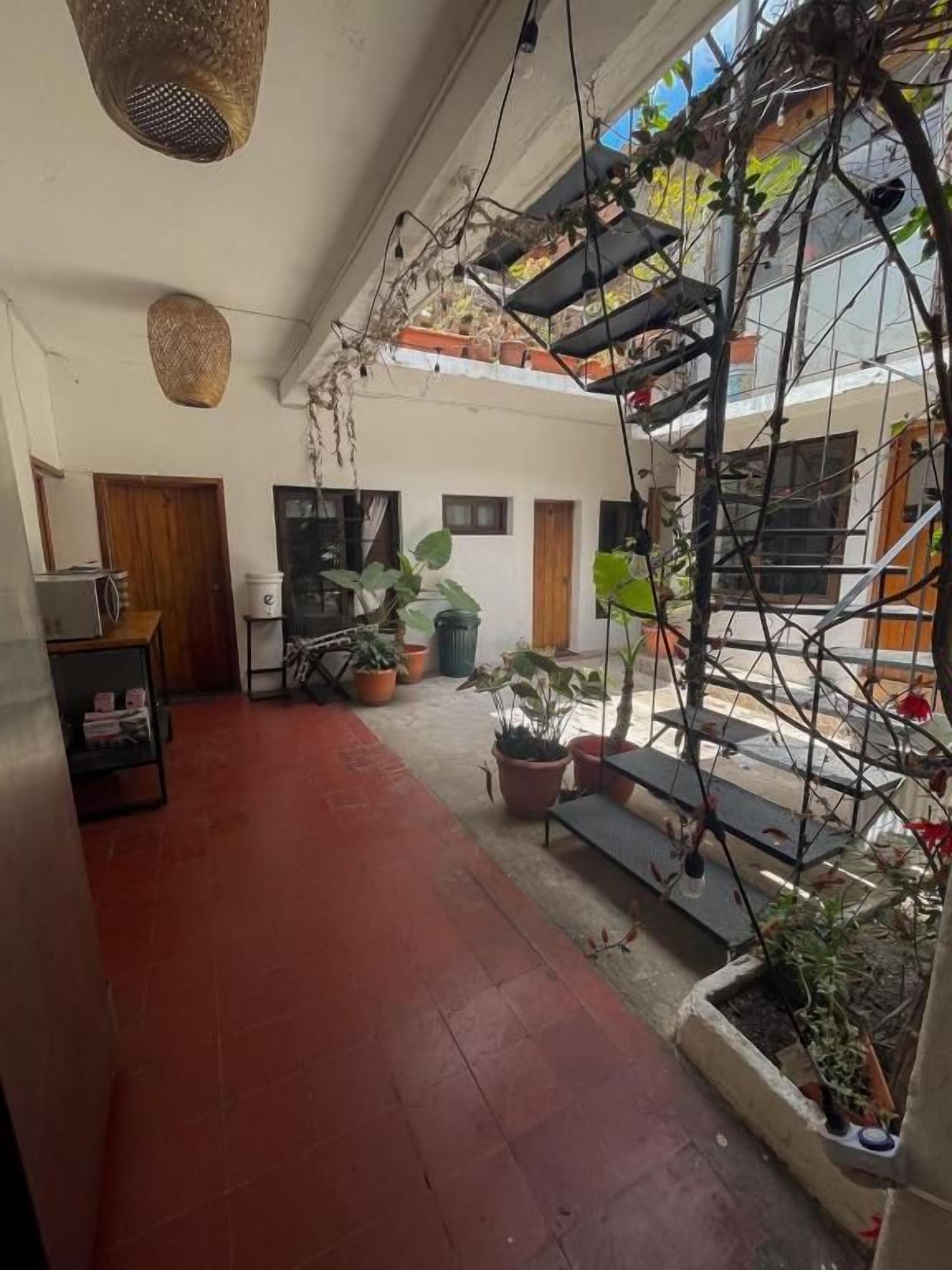 Un pasillo con plantas en macetas, una puerta de madera y un banco.