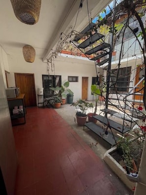 Un pasillo con plantas en macetas, una puerta de madera y un banco.