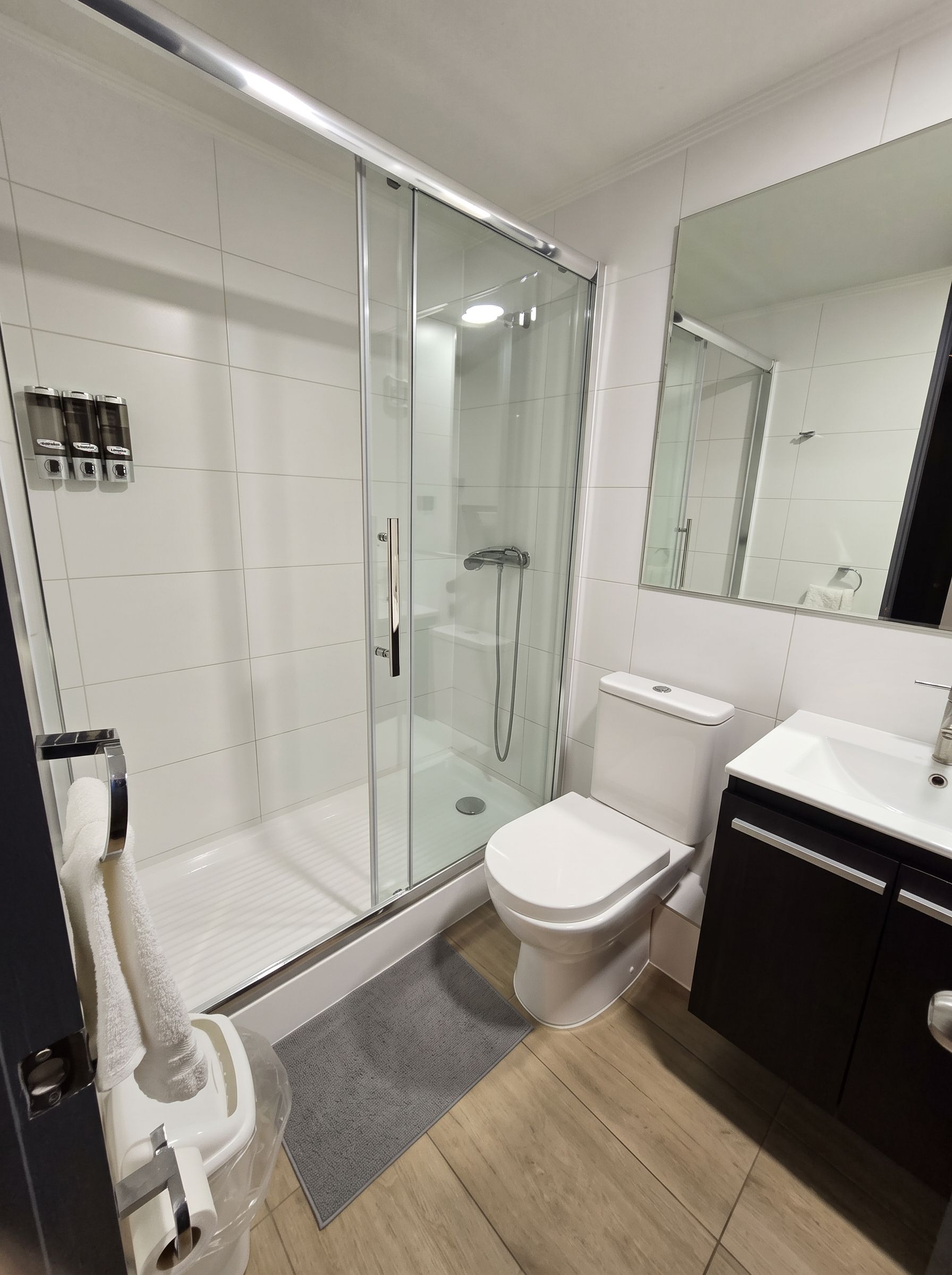 A modern bathroom with a glass-enclosed shower, a toilet, a sink, and a mirror.