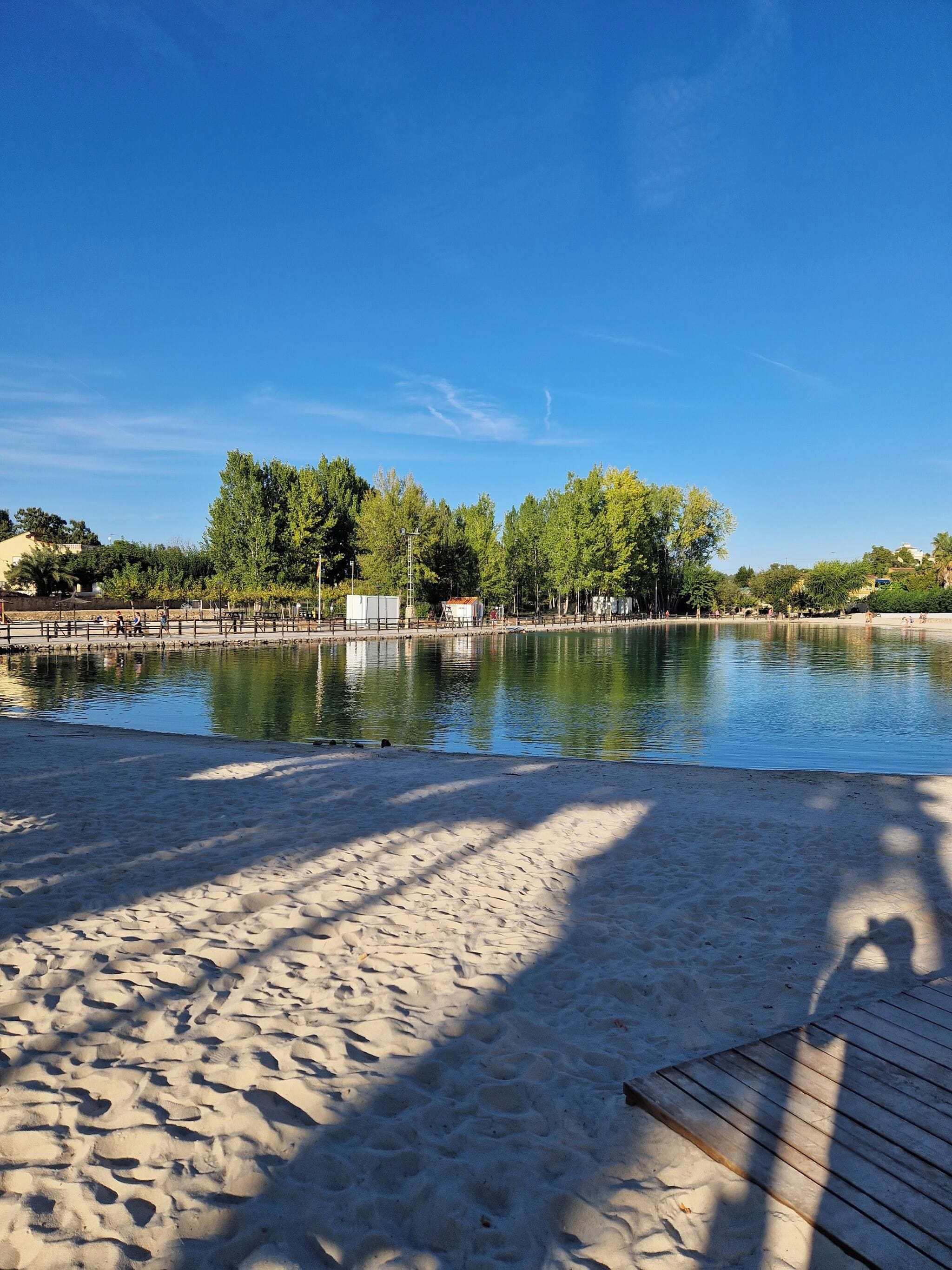 A sandy beach with a calm water body, trees, and a clear sky.