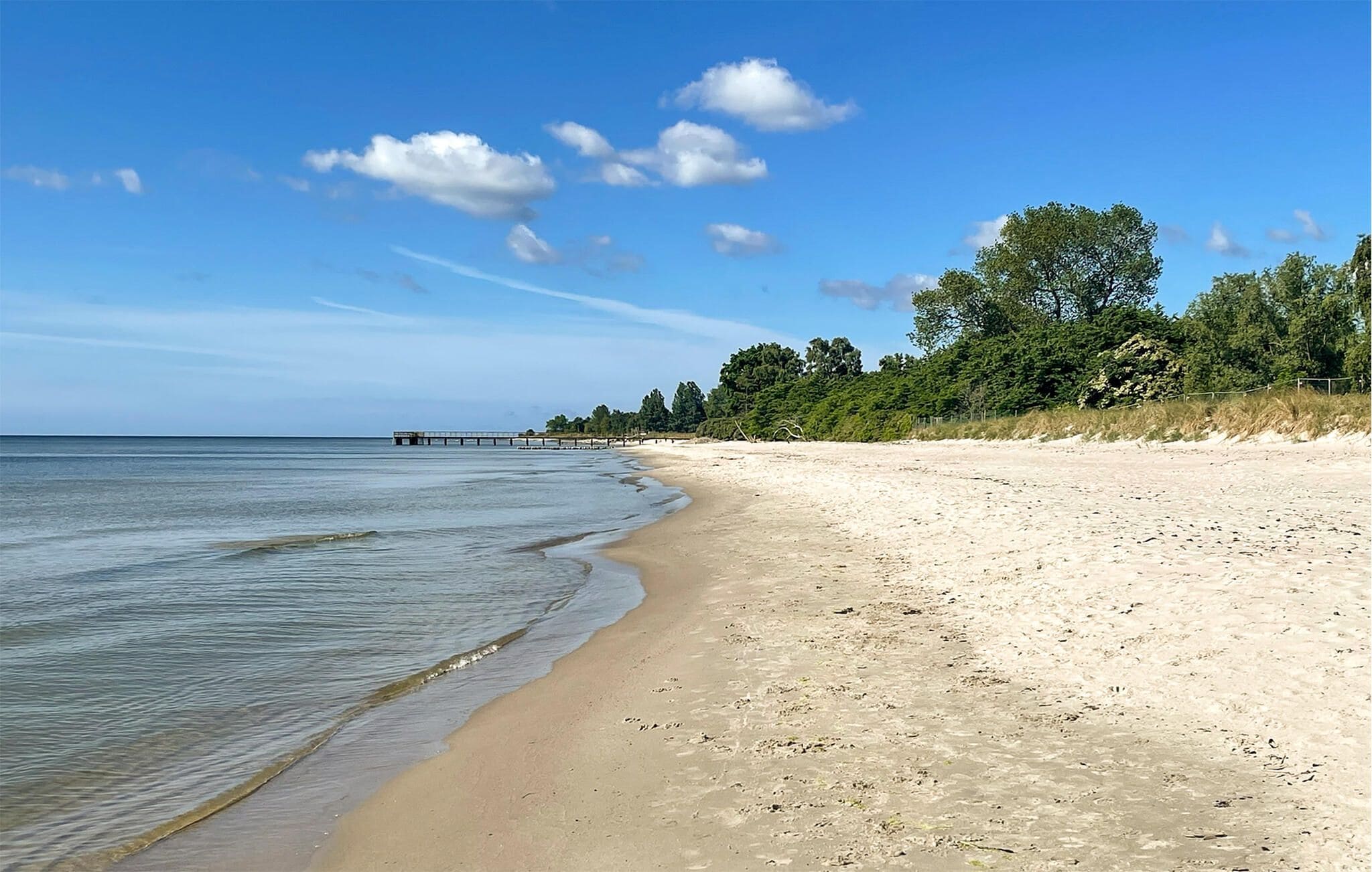 A beach with a pier extending into the water, surrounded by trees and vegetation.
