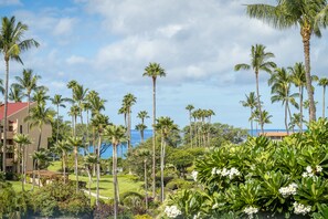Un complexe hôtelier doté de palmiers, d’un terrain de golf et offrant une vue sur l’océan.