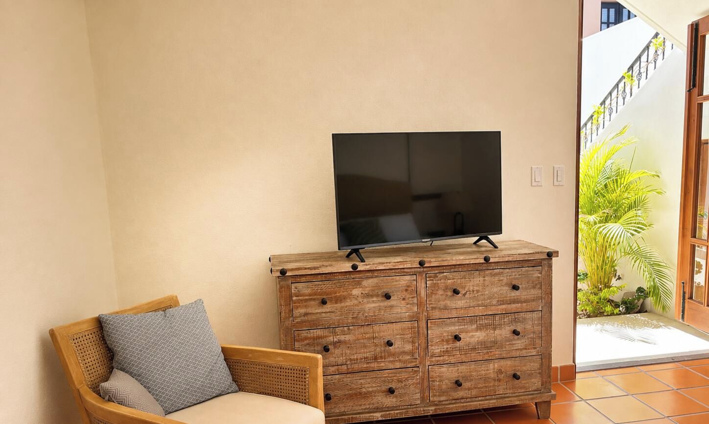 Un televisor sobre un mueble de madera, una silla de mimbre con cojines y vista a un jardín a través de una puerta abierta.