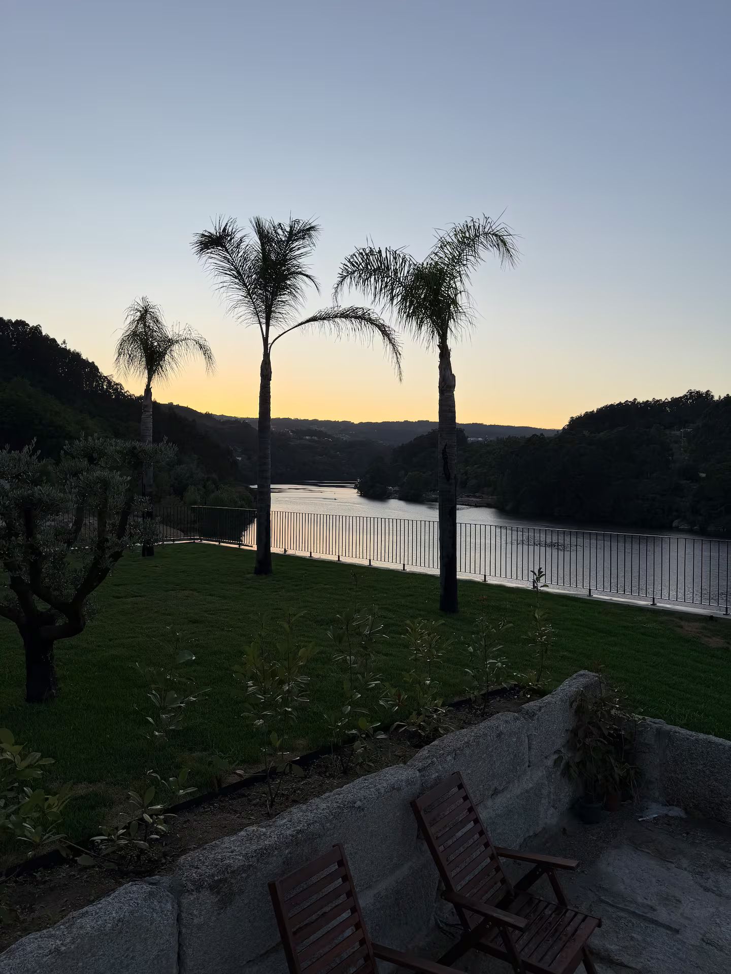 Vista para o rio com área gramada, palmeiras e um banco de madeira.