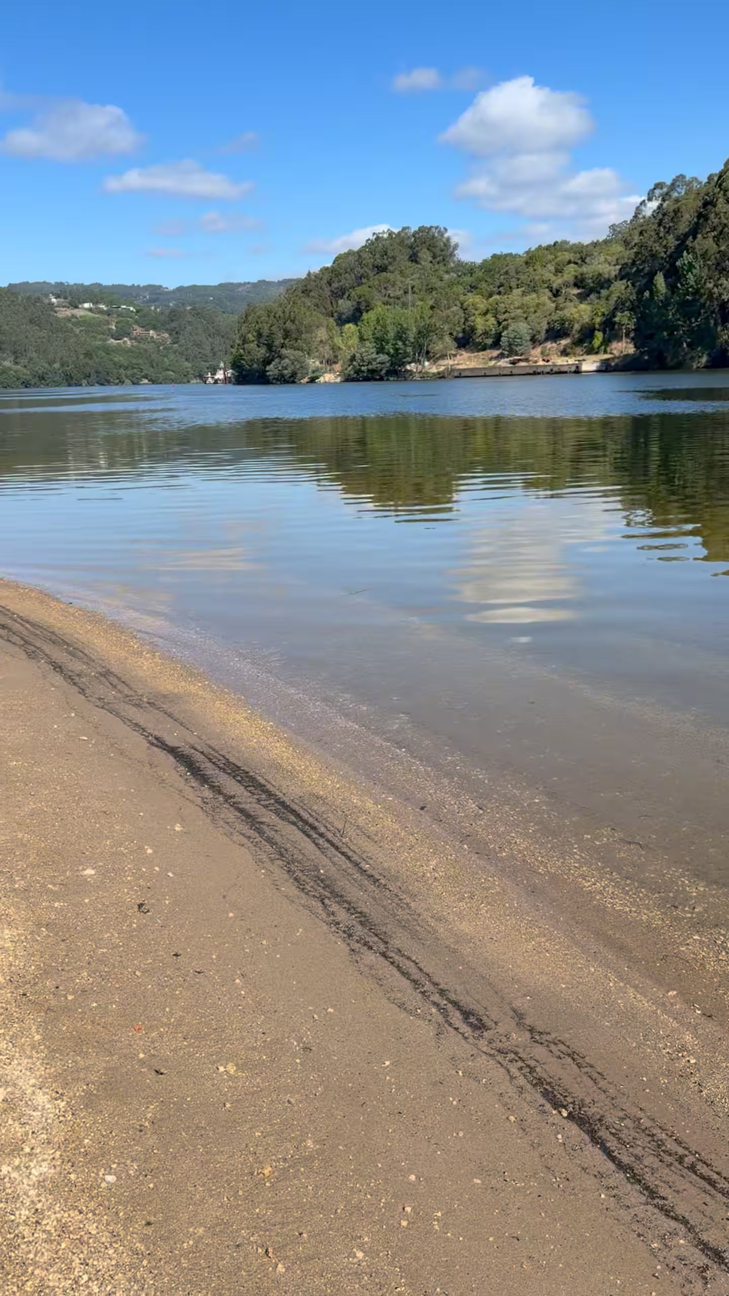 A beach with clear water, a sandy shore, and a forested hill in the background.