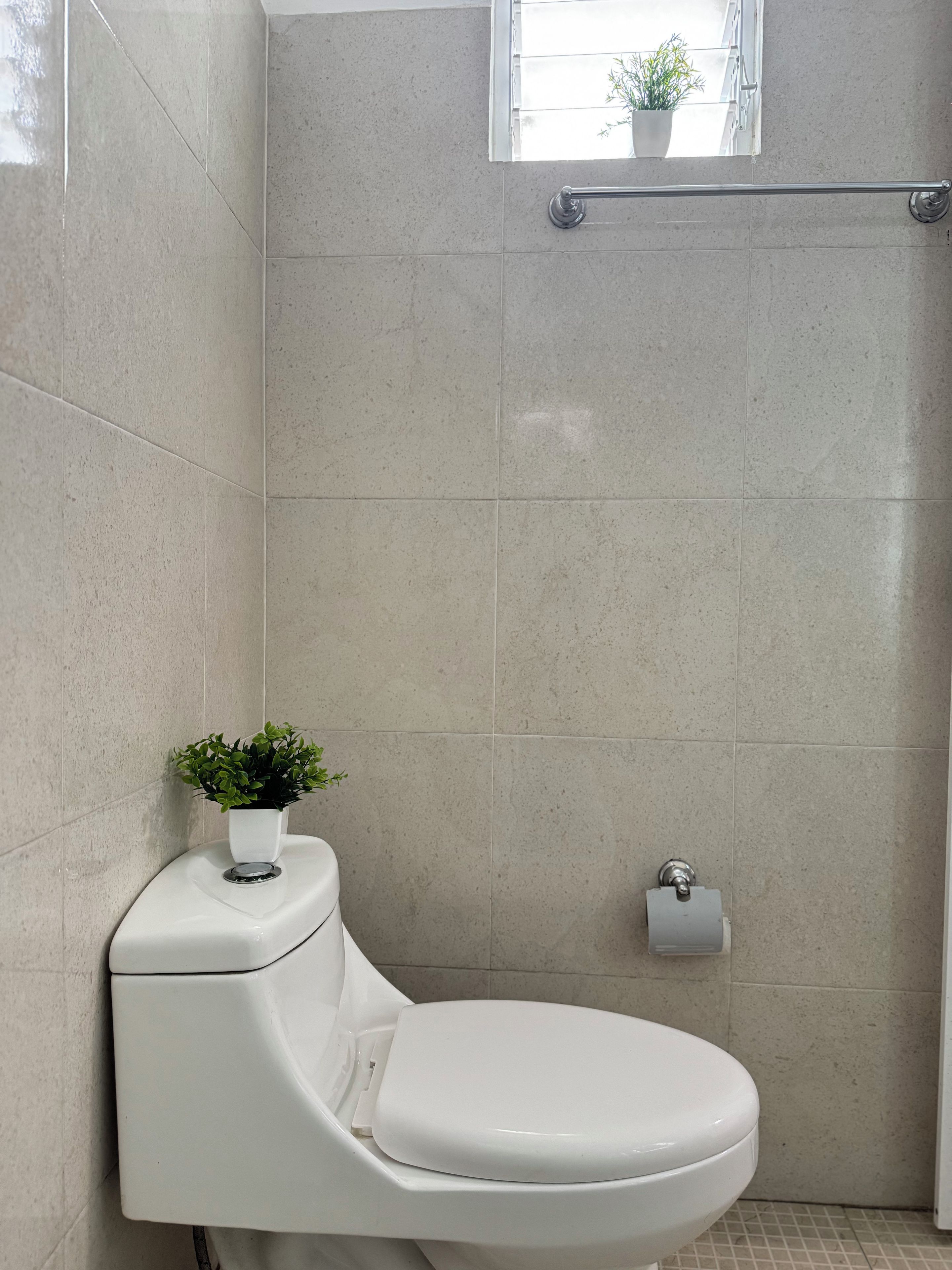 A bathroom with a toilet, a handrail, a window with a plant, and a toilet paper holder.