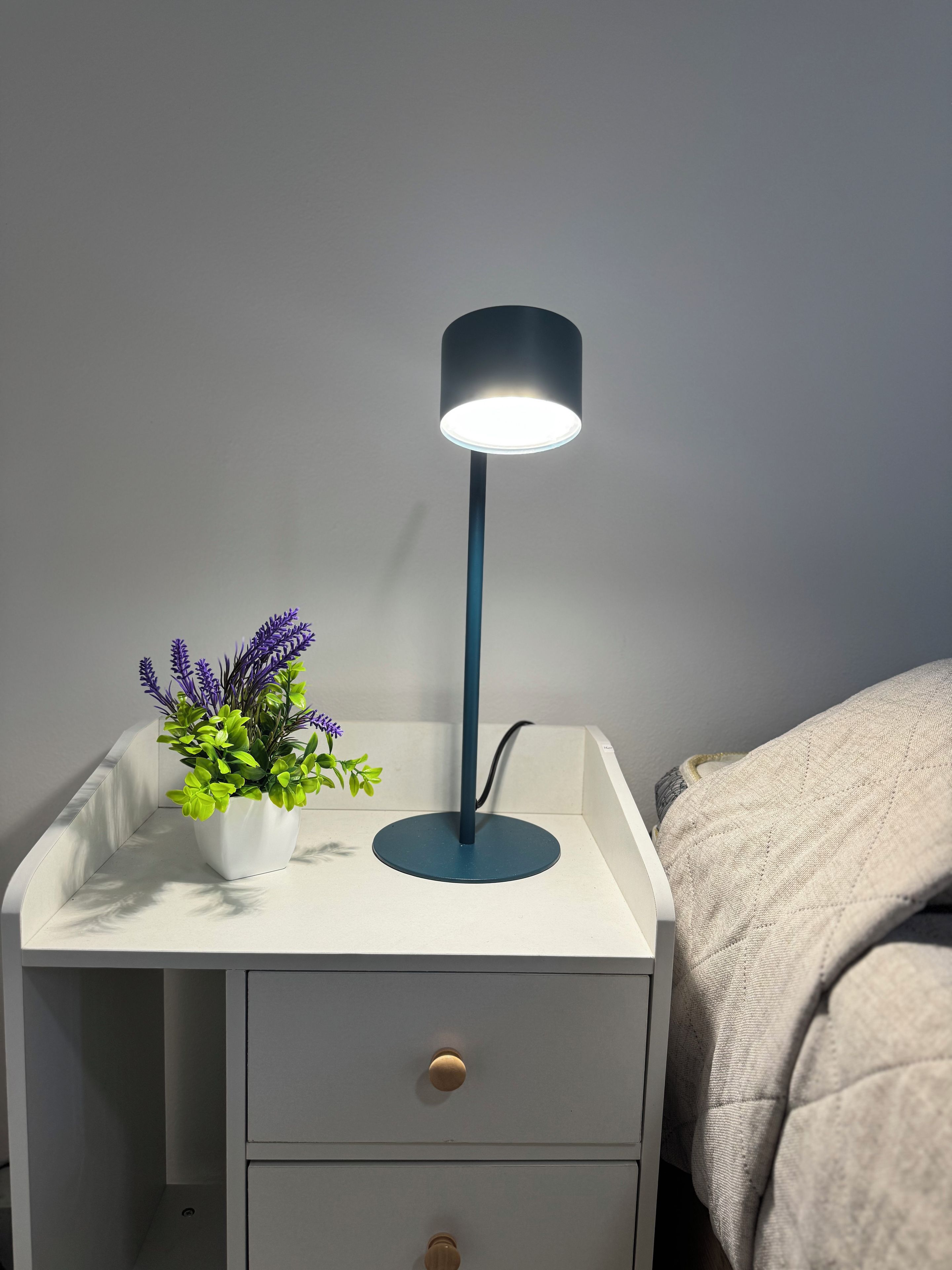 A bedside table with a lamp, a potted plant, and a drawer.
