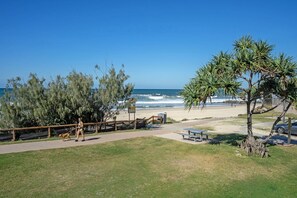 Un parc a la vora de la platja amb un camí per passejar, bancs i un arbre.