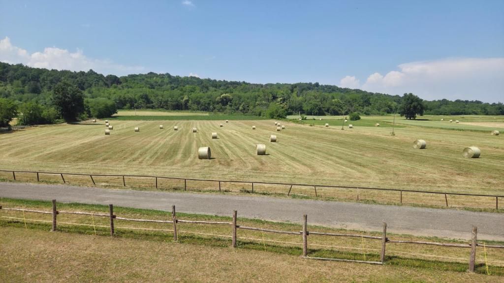 A rural landscape with hay bales and a road.