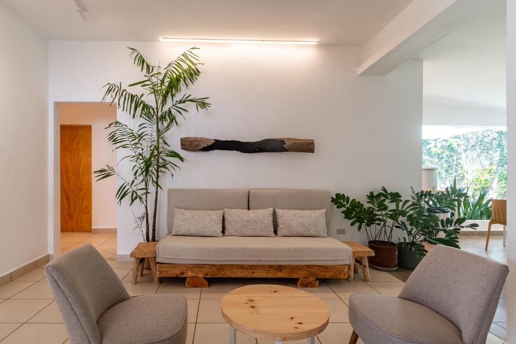 Un salon moderne comprenant un canapé, deux fauteuils, une table basse et une grande plante.