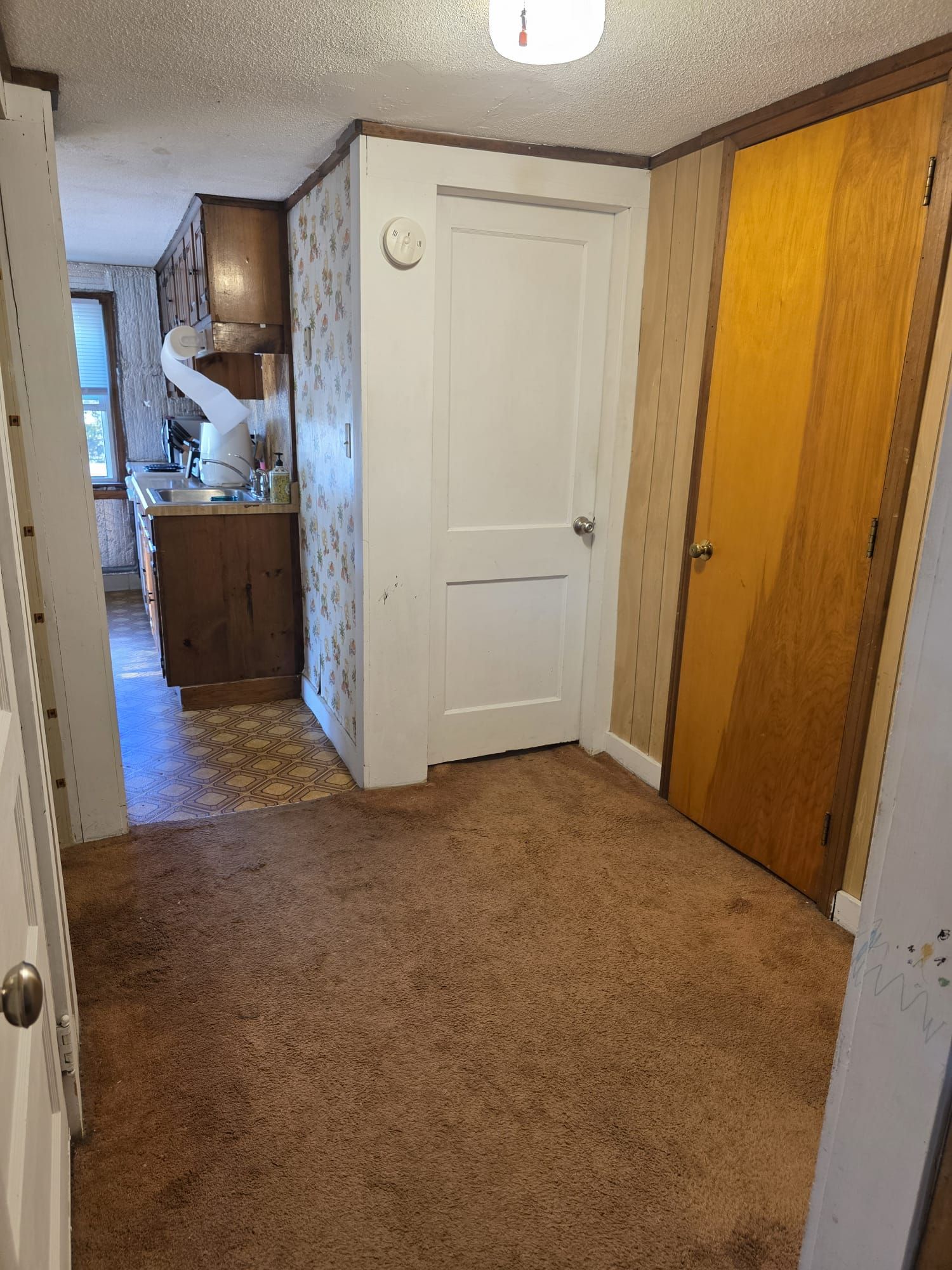 A hallway with a carpeted floor, a white door, and a wooden door.