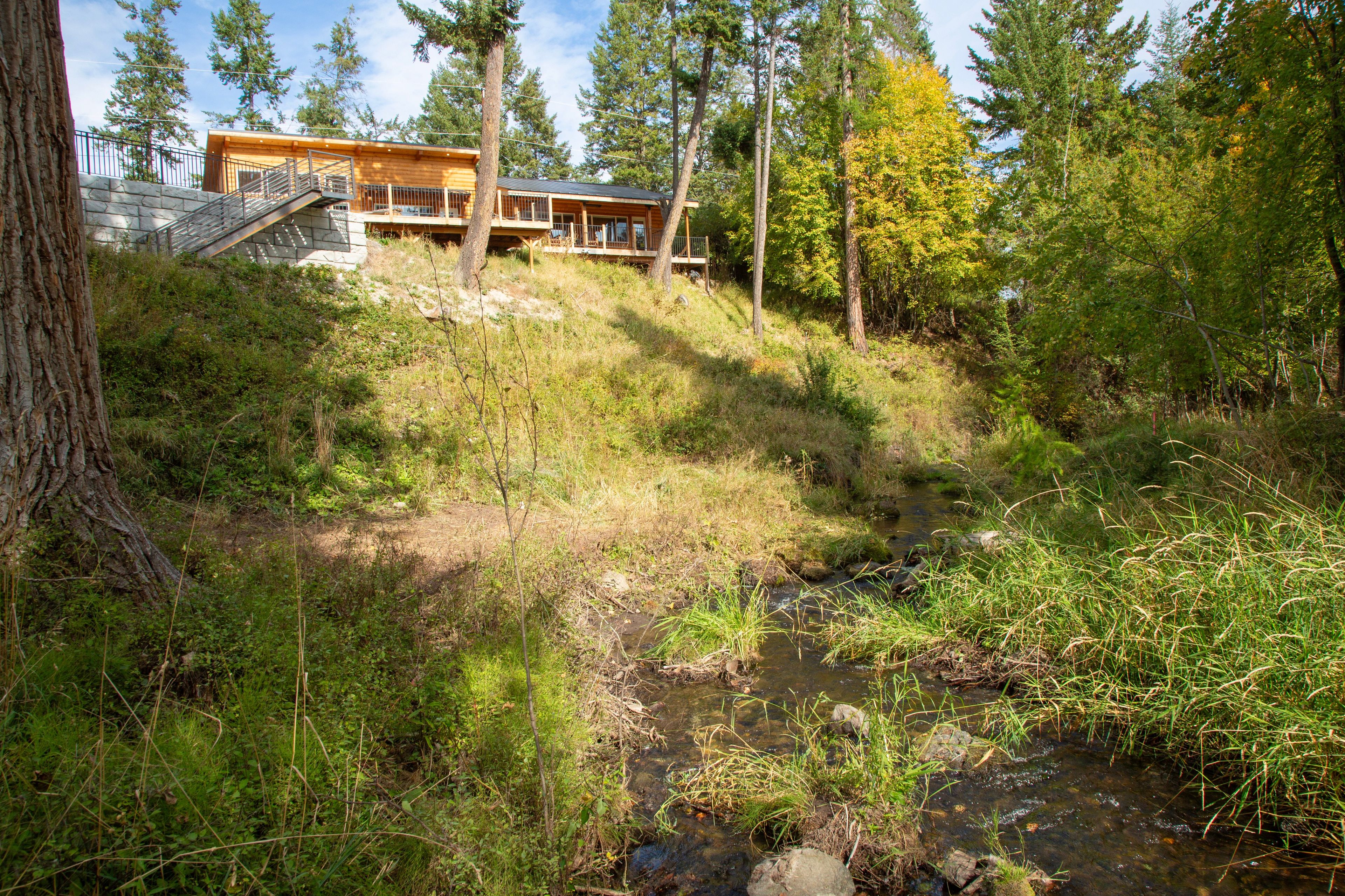 Une cabane dotée d’une terrasse, entourée de forêt et bordée par un ruisseau.
