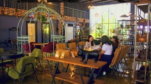 Un comedor interior con mesas redondas, sillas y elementos decorativos.