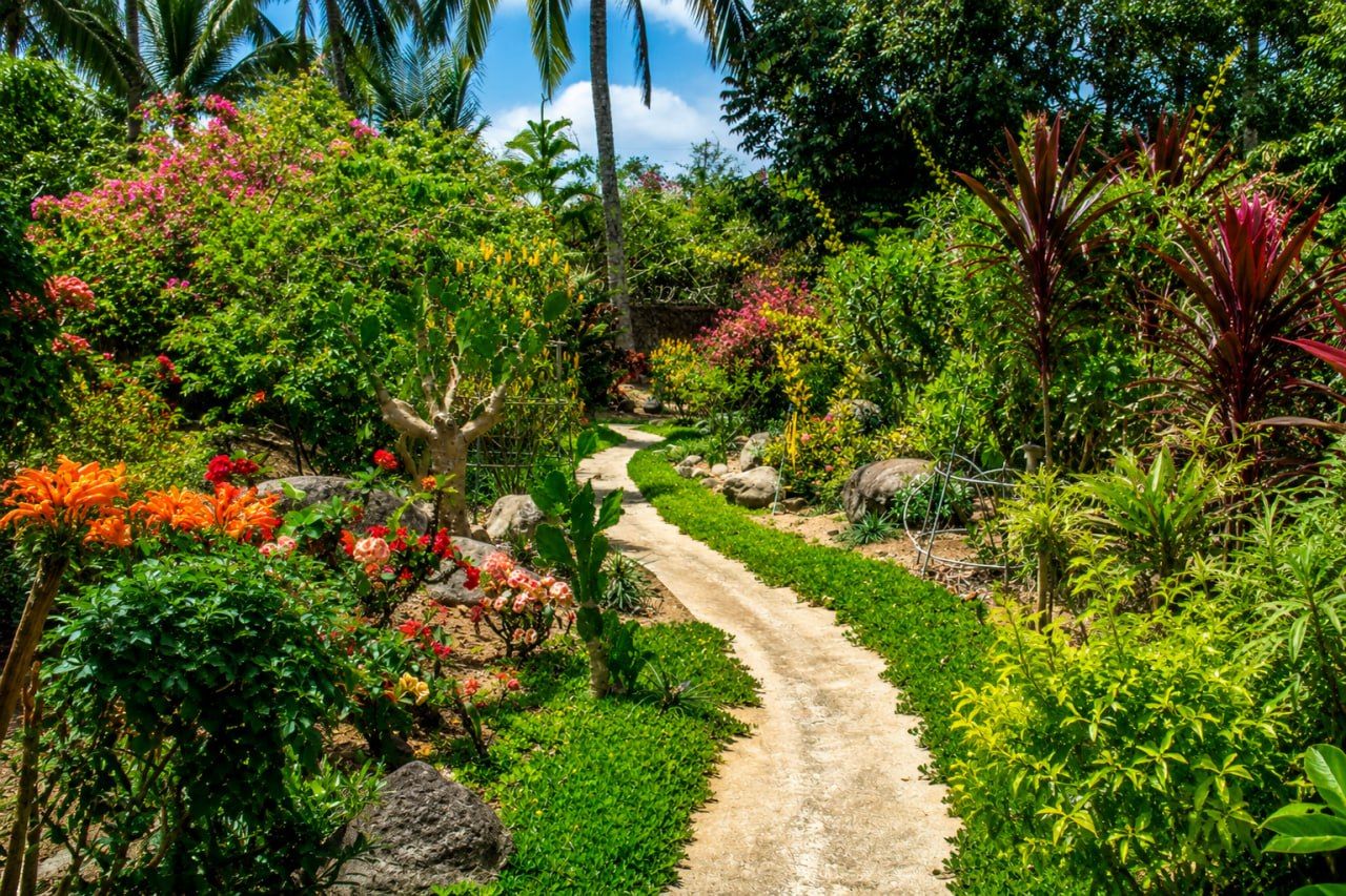 Un sendero en un jardín rodeado de plantas y árboles.