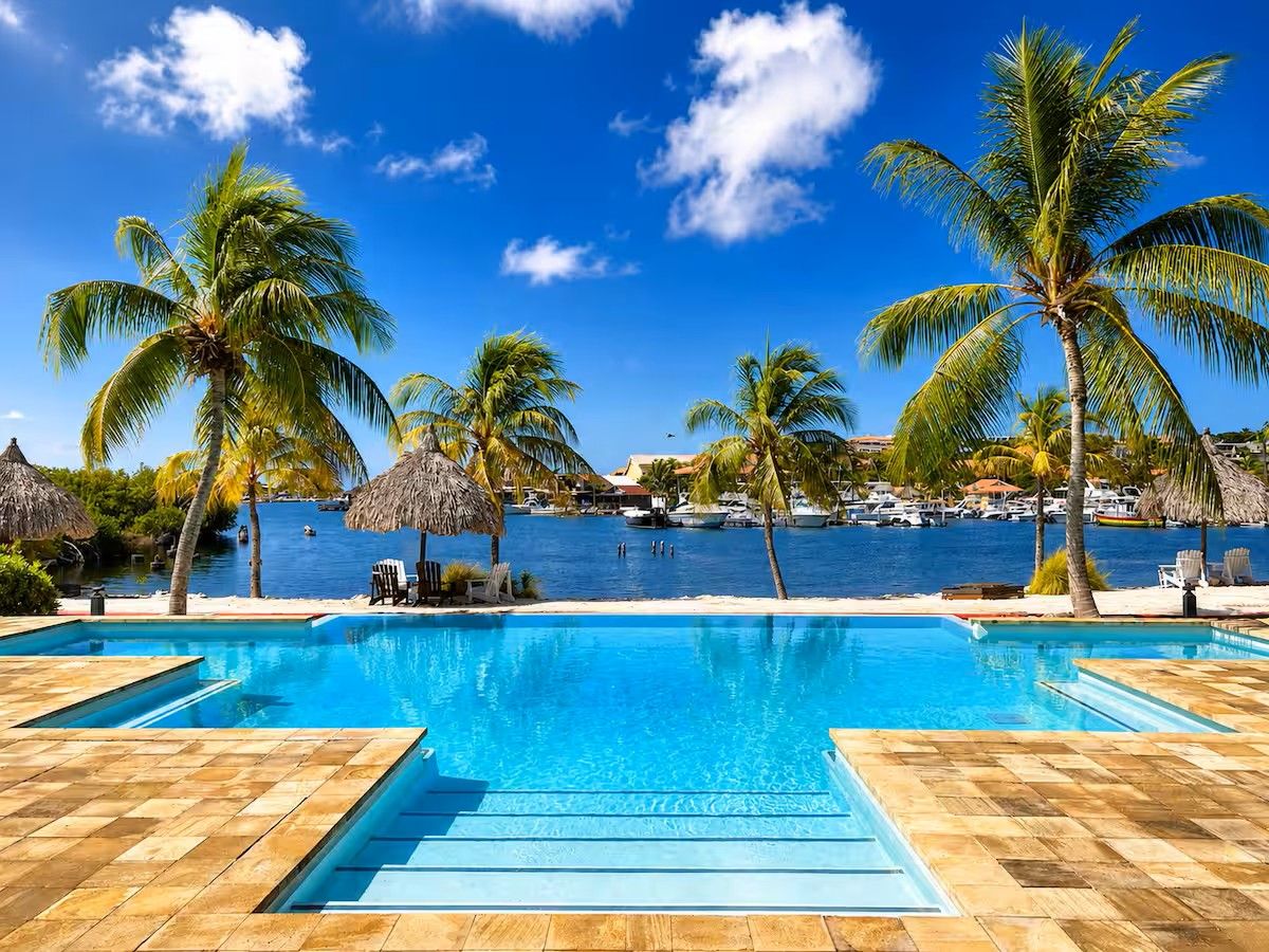 A swimming pool with clear blue water, surrounded by palm trees and a view of the sea.