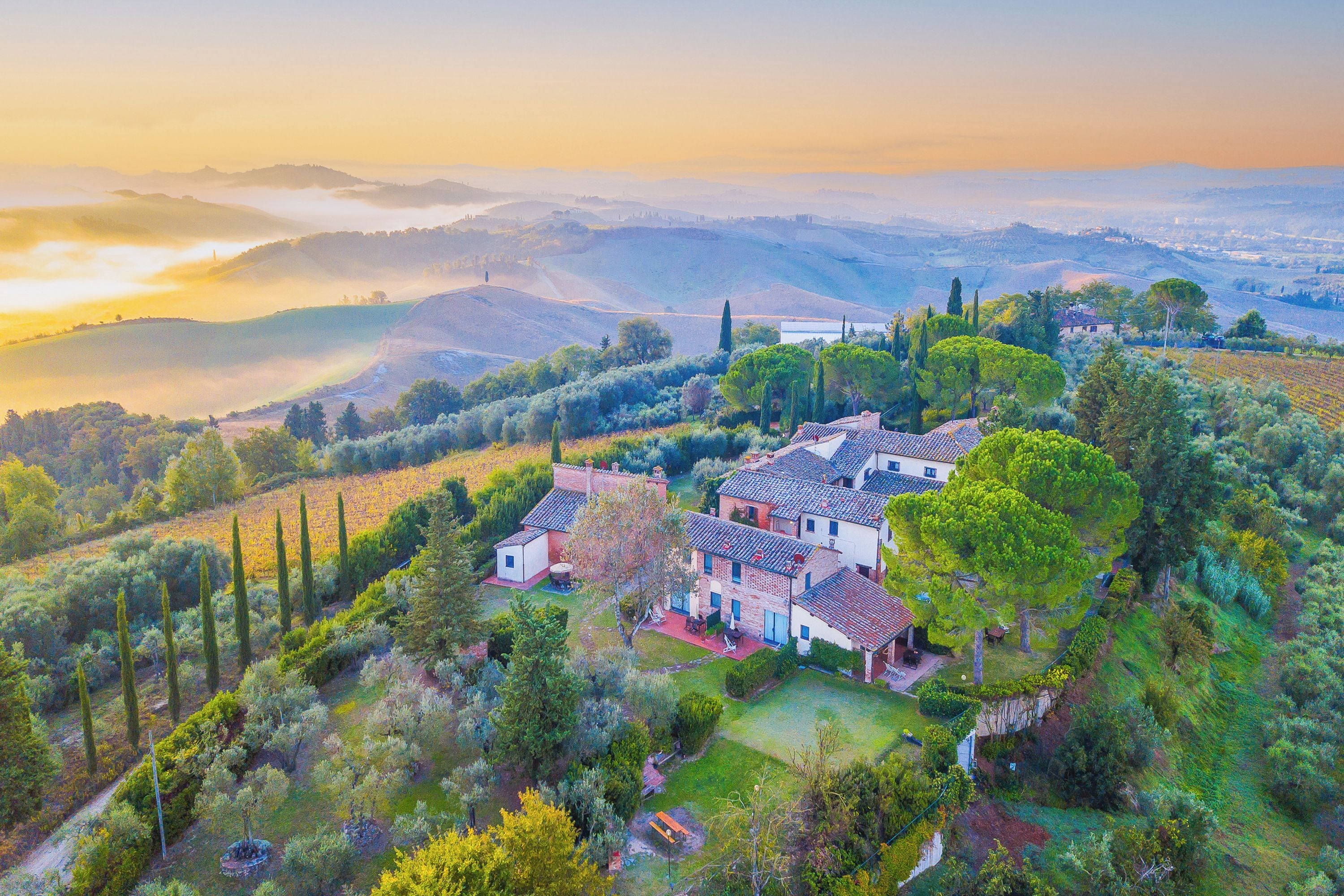A villa with multiple buildings, surrounded by lush greenery and vineyards, overlooking rolling hills and a valley.
