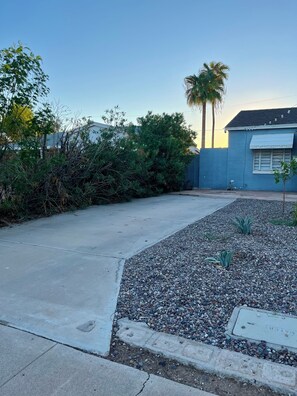A residential area with a paved driveway, a blue house, and a palm tree. - LUUM House (Phoenix)