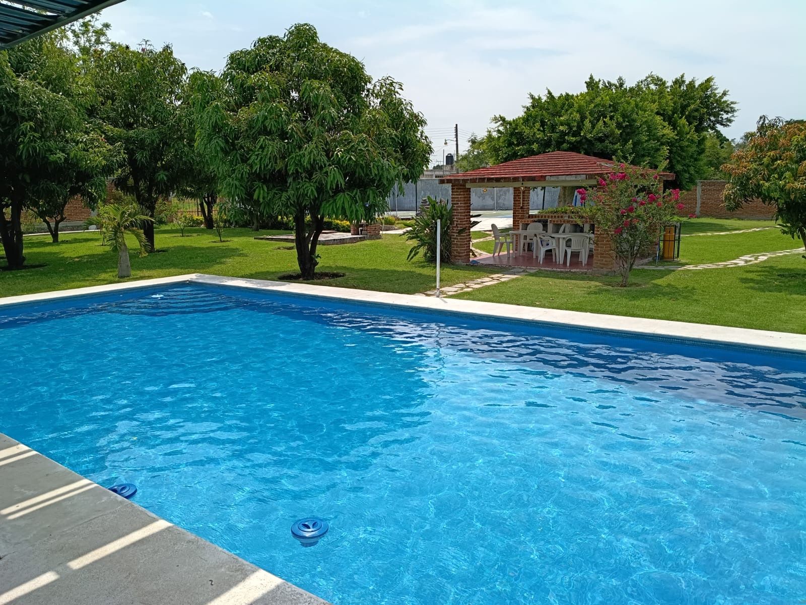 Une piscine rectangulaire à l’eau d’un bleu limpide, entourée d’une pelouse et d’arbres.