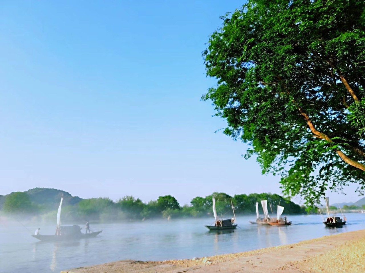 A calm river with boats and a tree on the right.