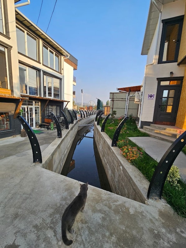 A canal with a bridge, buildings on either side, and a cat on the bridge.