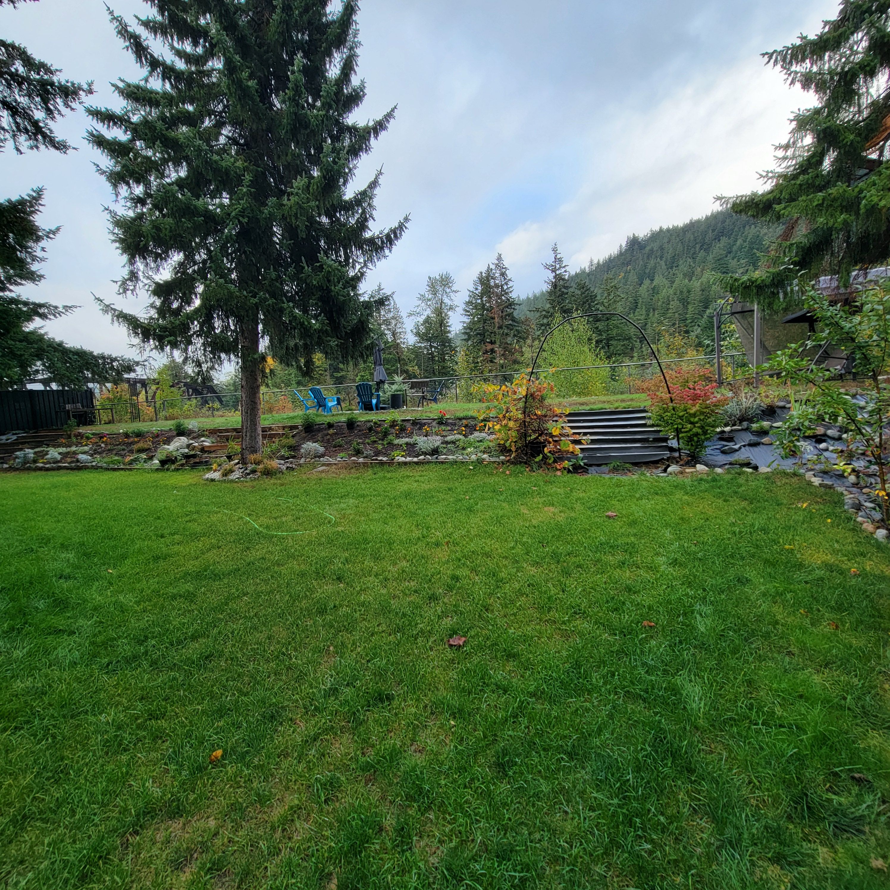 A well-maintained grassy area with a small pond, surrounded by trees and a wooden deck.