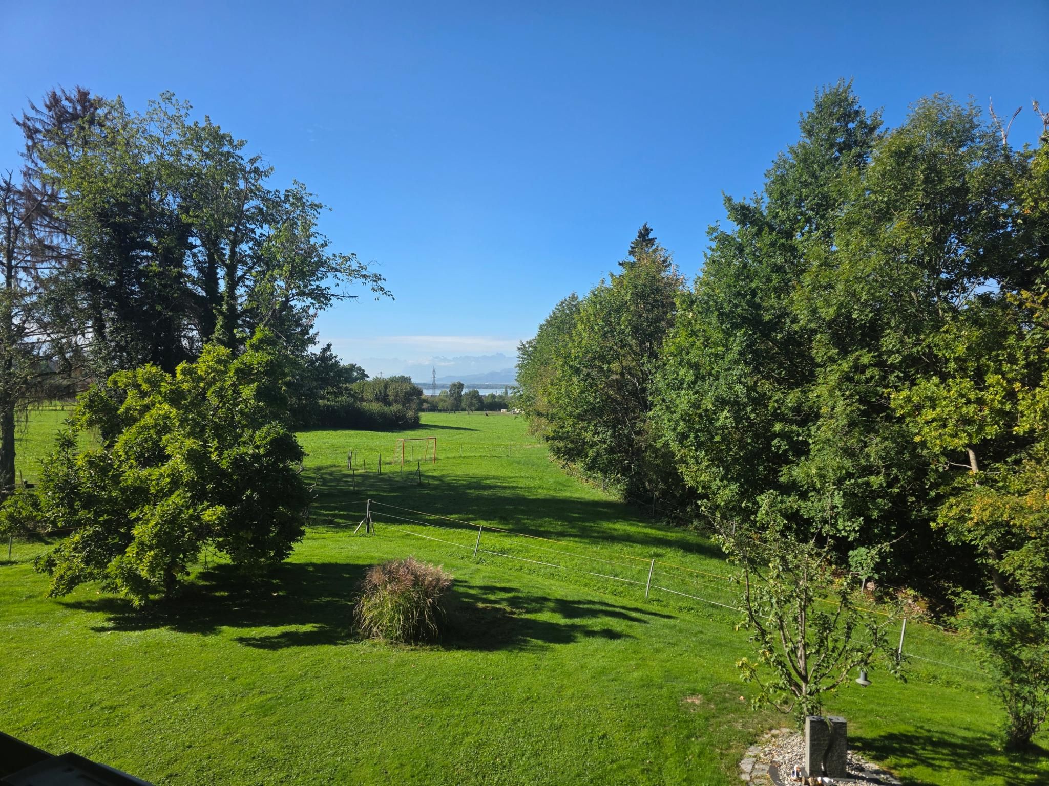 A grassy field with trees and a clear sky.