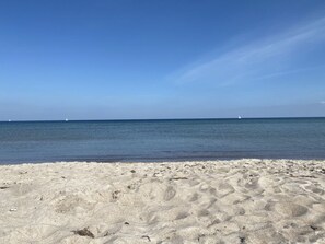 A beach with clear skies and calm water. - Baltic Sea View Damp (Damp)
