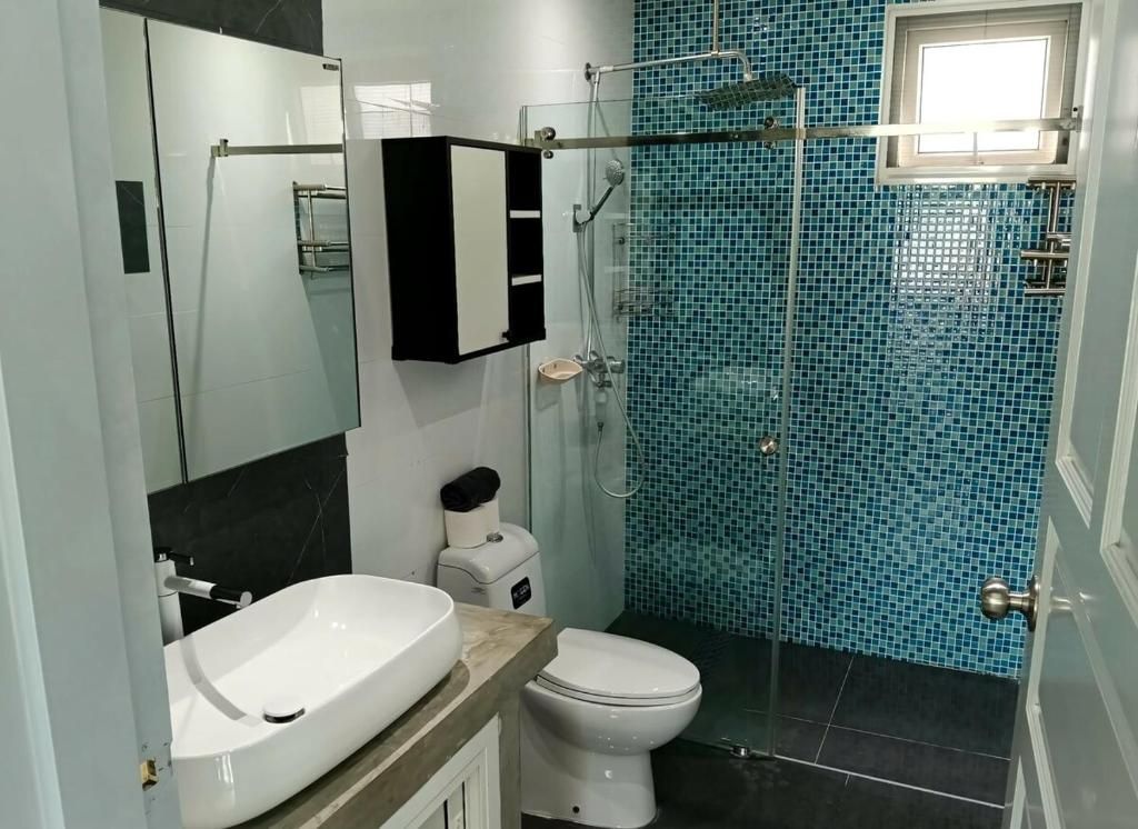 A bathroom with a white sink, a toilet, and a shower enclosure.