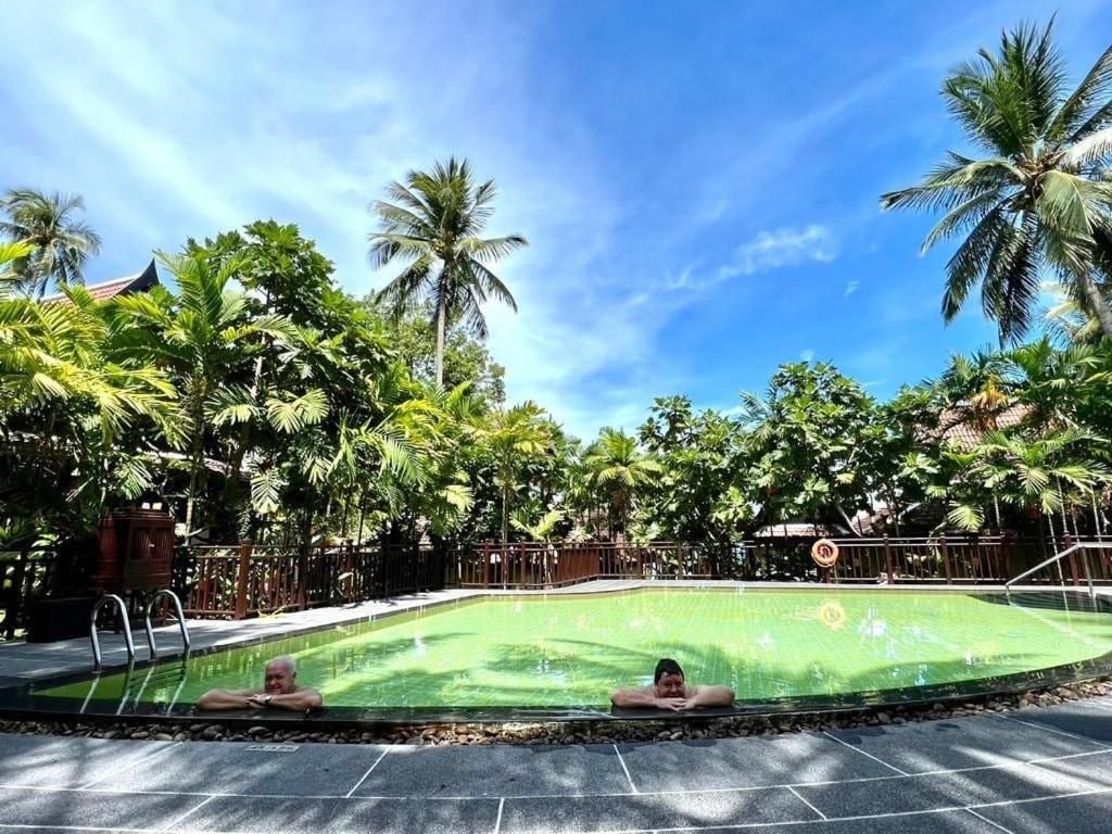 Piscina en un entorno tropical, rodeada de palmeras y un cielo despejado.