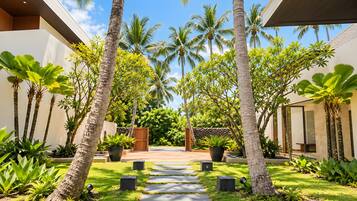 A tropical garden with palm trees, a pathway, and a wooden gate.