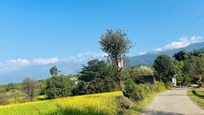 A rural landscape with a clear sky, a road, and a field of crops.