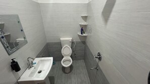Een badkamer met toilet, wastafel en spiegel.