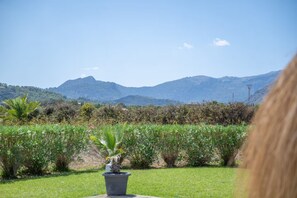 Ein Garten mit einem Blumentopf im Vordergrund und einer Berglandschaft im Hintergrund.