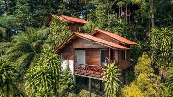 A wooden cabin with a red roof, surrounded by dense tropical vegetation.
