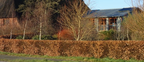 Eksteriør