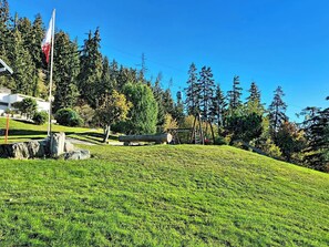 A grassy hill with a cable car, trees, and a flag. - Le Chamois d'Or Combi by Interhome (Crans-Montana)