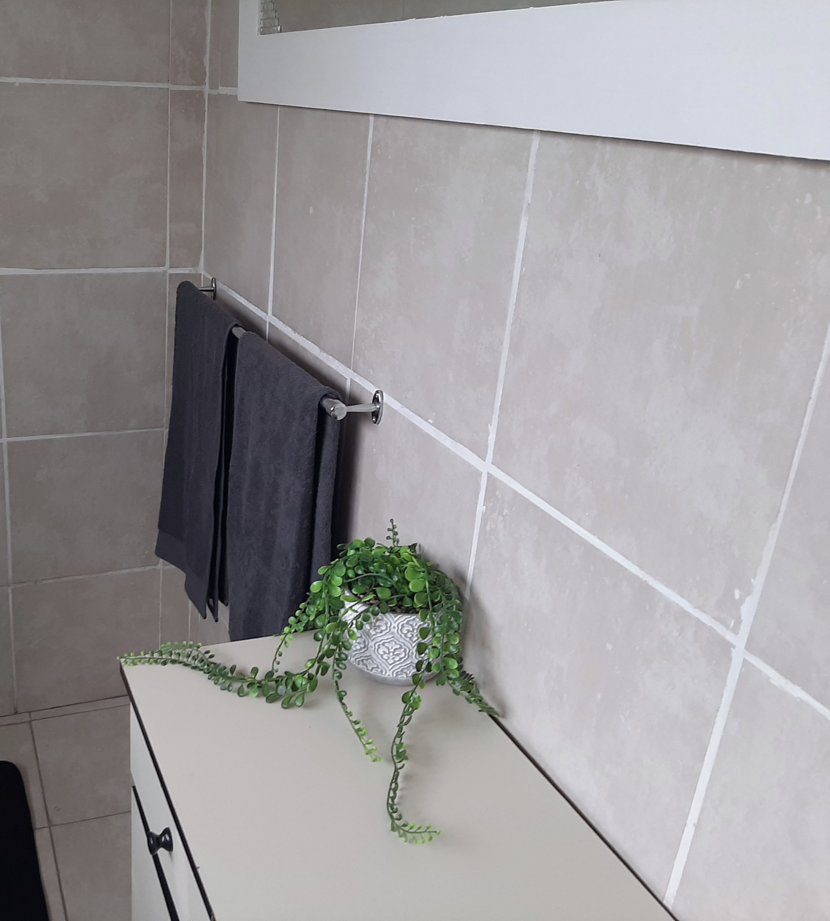 Un baño con toallero, una planta en maceta y un armario blanco.
