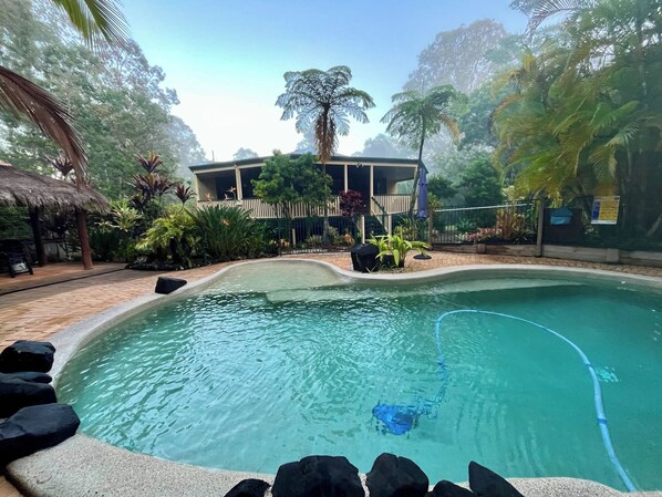 Una piscina con una fuente de agua azul cristalina, rodeada de plantas tropicales y una terraza de madera.