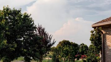 Un giardino con una struttura in mattoni, alberi e cielo sereno.