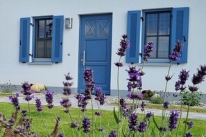 A building with a blue door and shutters, surrounded by lavender plants. - Thatched house "Dat Lavendelhus" (Zierow)