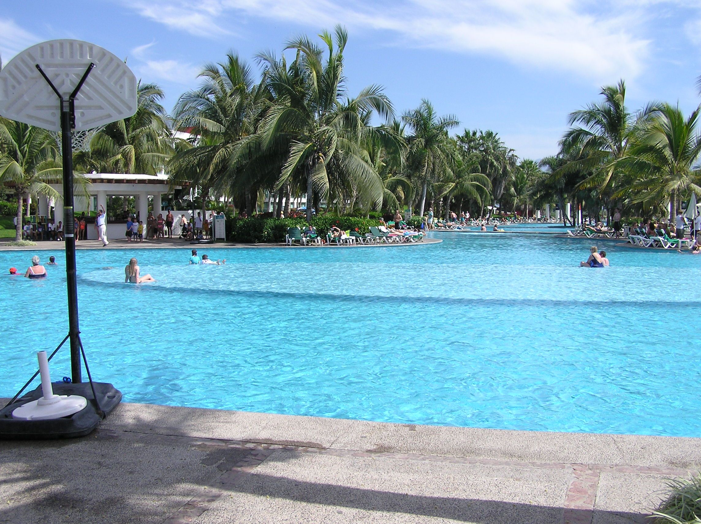 A large outdoor swimming pool surrounded by palm trees, with lounge chairs and people swimming.
