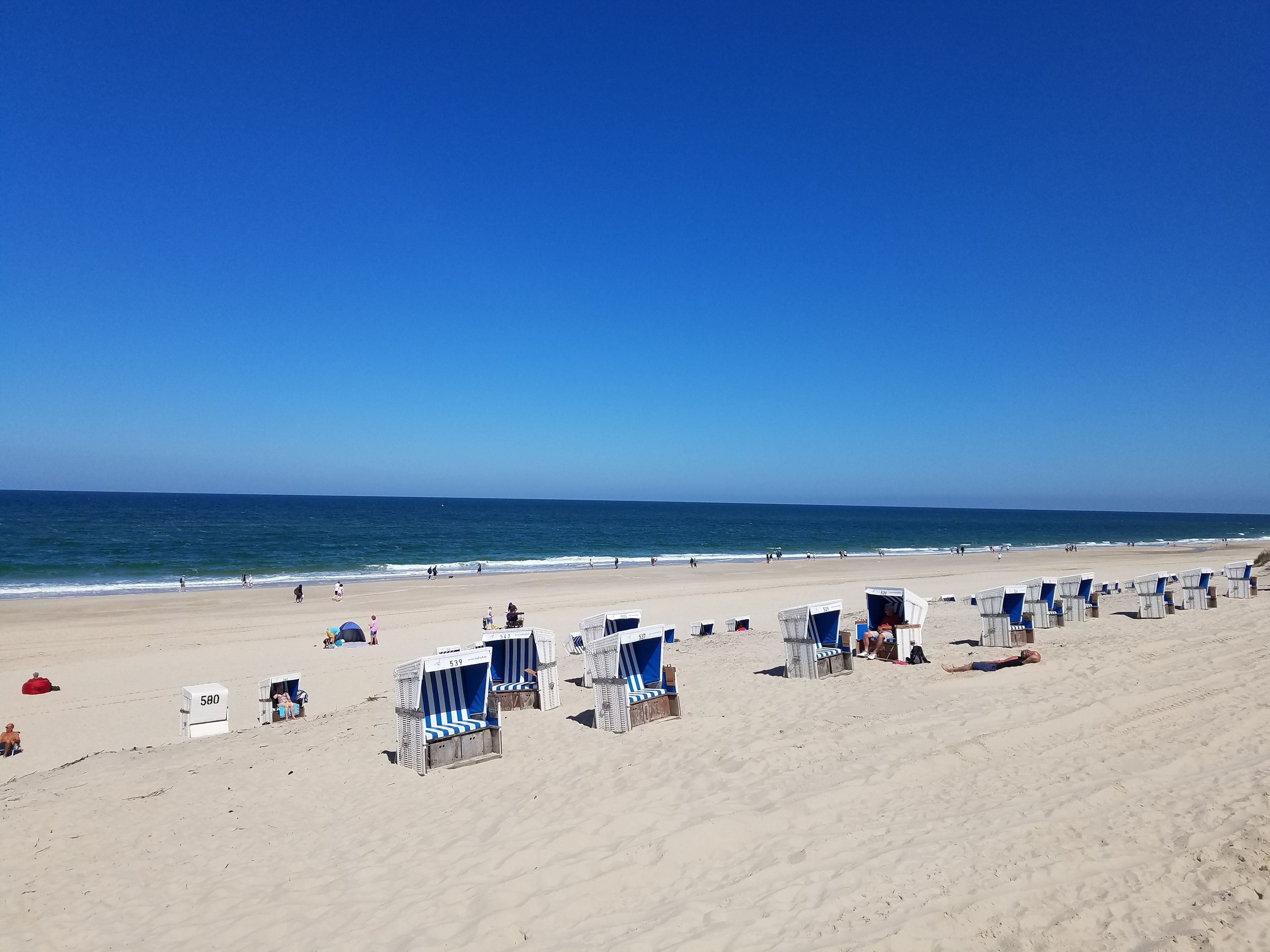 Una playa con hileras de sillas y sombrillas, cielo despejado y el océano al fondo.