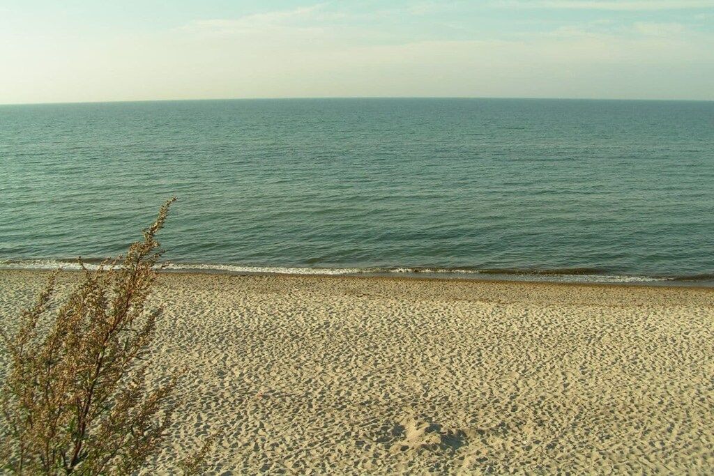 Una playa con orilla arenosa y una vista despejada del océano.