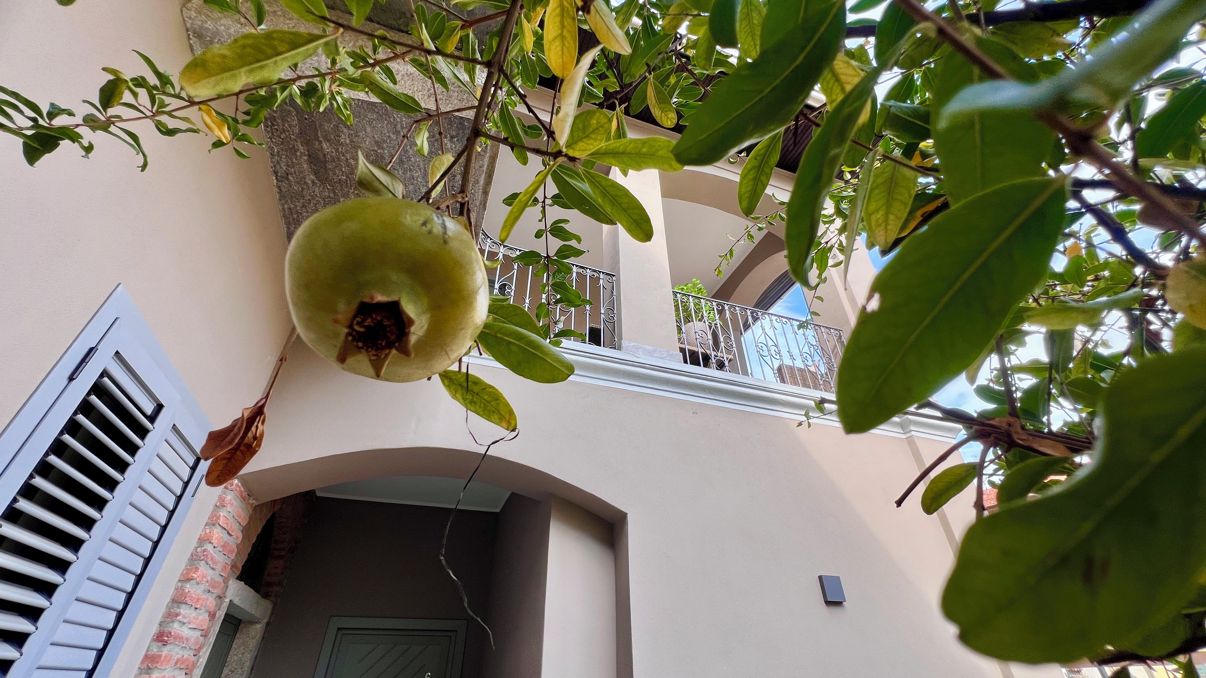Eine Granatapfel hängt an einem Baum, ein Balkon mit Geländer und eine Tür mit Fensterläden.