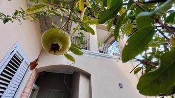 Eine Granatapfel hängt an einem Baum, ein Balkon mit Geländer und eine Tür mit Fensterläden.