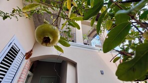 A pomegranate hanging from a tree, a balcony with a railing, and a door with shutters.