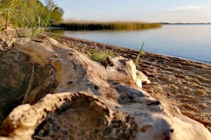 A log lying on a sandy shore with a calm body of water and grass in the background. - Villa Sabinium - Apartment 02 (Seebad Heringsdorf)
