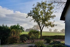 A rural landscape with a tree in the foreground, a hedge, and a building in the background. - A 2 in the country house by the lagoon (Stolpe auf Usedom)