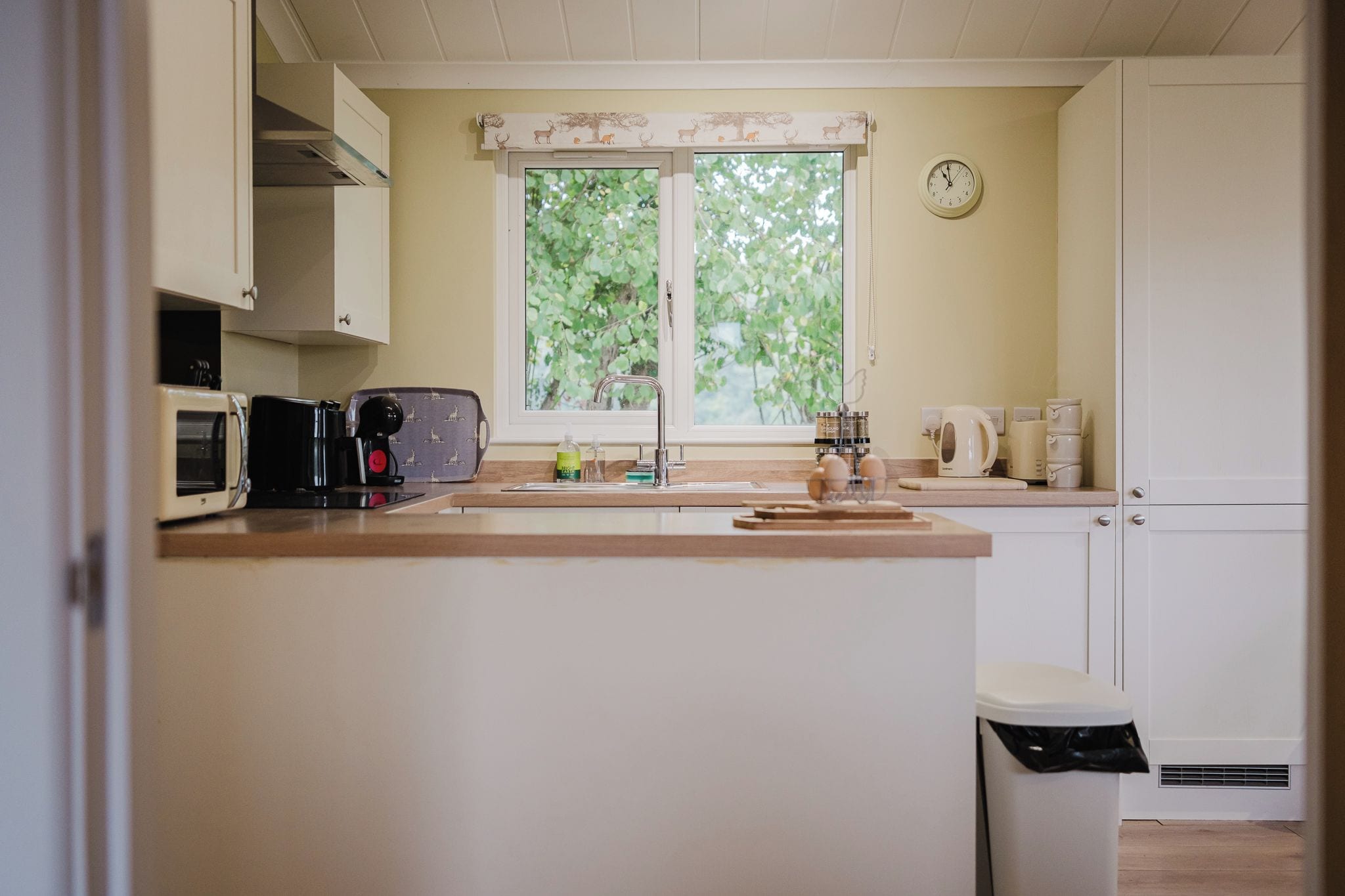 Una cocina con ventana, pileta, microondas y alacenas.
