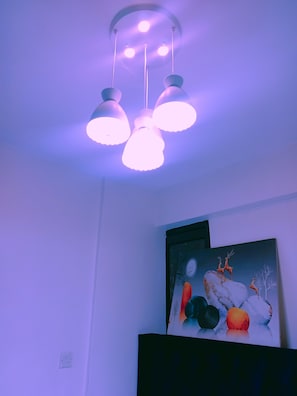 A ceiling with four pendant lights, a wall-mounted painting of deer and fruit, and a power outlet. - Cozy Studio with Gym & Lift Prime location near TRM Mall (Nairobi)